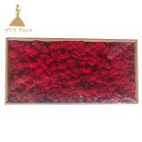 China Most Popuplar Everlasting Moss: The Key to Plant Walls thumbnail-3