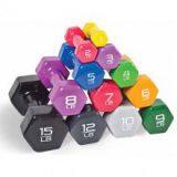 China Manufacture Wholesale 6kg Vinyl Dumbbell thumbnail-2