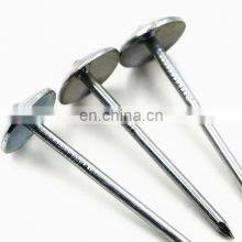 China Supplier Roofing Nails Suppliers in China With High Quality and Low Price Insulated thumbnail-3