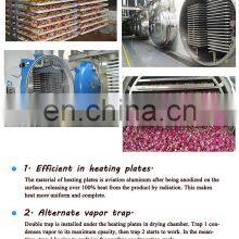 High Quality Liofilizador Industrial thumbnail-5