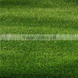 25mm Apple Green Artificial Grass Turf With Stem Fiber Synthetic Grass Roll thumbnail-2
