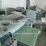 UV Inkjet Flatbed Printer for EVA Shoes pp PET Materials