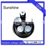 Xlpe Power MV Cable Multi Core 16 25 35 50 70 95 120 150 185 240 Square Section thumbnail-2