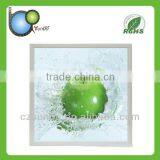 Decoration LED Acrylic Light Box With RoHS Certification