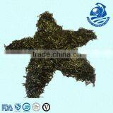 Sliced Nori for Cake Kizami Nori for Cookie