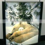 Backlit Film for Inkjet Printing