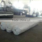 PP Woven Fabric/PP Woven Fabric for Flexitank Container thumbnail-4