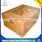 Good Quality Paper Fruit Box for Fresh Fruit thumbnail-1