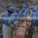 Pig Hide Peeling Machine Pig Slaughter Equipment thumbnail-3