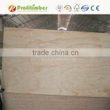 Construction Grade Pine CDX Plywood thumbnail-5