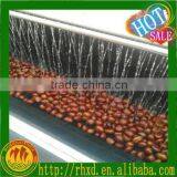 Fresh Chestnut,2015 Chestnut,TianJin Chestnut Factory Fresh thumbnail-1