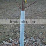 Coroplast,Corflute Tree Shelter thumbnail-4