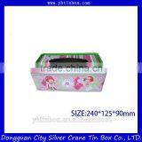 High Grade Rectangular Creative Tissue Tin Box