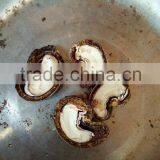 Cashew Nut thumbnail-5