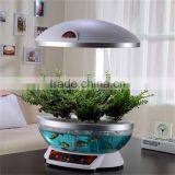 Aquarium Supplies thumbnail-6