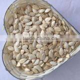 White Pumkin Seeds Shine Skin for Southeast Market thumbnail-3