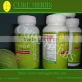 moringa leaf powder capsule for diabetes