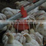 Chicken Feed Pan System for Broiler thumbnail-6