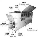 Automatic TEJA Chili Stem Cutting Machine With Low Price