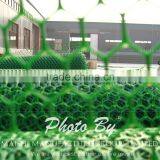 Hexagonal Shape Grass Protection Mesh thumbnail-4