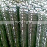 Galvanized Welded Wire Mesh