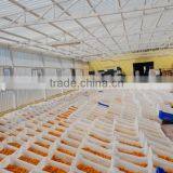 Sterilization Machine thumbnail-4