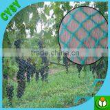 Wholesale HDPE Plastic Bird Net / Bird Trapping Net /plastic Tree Protection Mesh thumbnail-4