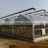 Galvanized Steel Structure Tempered Glass Greenhouse/Hydroponics Greenhouse/Commercial Greenhouse thumbnail-2