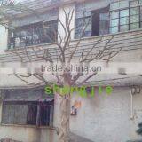 Q020216 Large Outdoor Artificial Dry Tree for Decoration Natural Fake Tree Trunks thumbnail-5