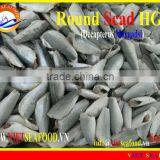 FROZEN HGT ROUND SCAD thumbnail-1