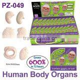 Crazy Water Growing Human Body Organs thumbnail-3