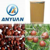 Health Care Herb Extract Powder Semen Zizyphi Spinosae Extract Powder thumbnail-1