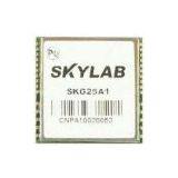 Standar GPS Module SKG25A1