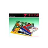 Various types of printed promotional materials