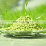 Matcha Green Tea Powder Pure Tea thumbnail-1