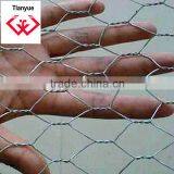 Quality Chicken Mesh Galvanized