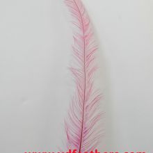 Burnt Rooster/Coque/Cock Tail Feather Dyed Pink from China