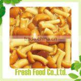 Canned Mushroom Price thumbnail-6