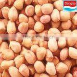 Peanuts Kernel in China