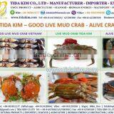 FROZEN WHOLE BABY OCTOPUS VULGARIS CLEANED BABAY OCTOPUS SHRIMP TIDA KIM LOPSTER VIETNAM FISH FILLETS BASA FRESH ALIVE NATURAL thumbnail-5