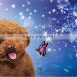 2012 Promotional Animation 3d Bookmark thumbnail-1