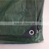 CHINA HIGHT QUALITY TARPAULIN Blue Poly Tarpaulin thumbnail-6