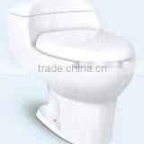 Y8001 One Piece Toilets Yyu Ceramic