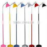 2013 new unique led floor lamp (FS-6358)