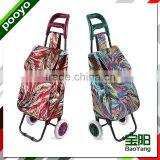 New Style Shopping Cart Trolley JX-A2D-6 thumbnail-1