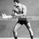 Wrestling Ready Stance 12x18 Giclee on Canvas thumbnail-1