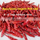 Hot chilly exporters