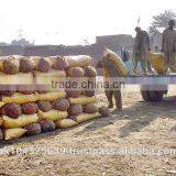 Fresh Potatoes thumbnail-5