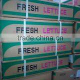 Fresh Lettuce thumbnail-5