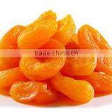 Best Selling Dry Apricot